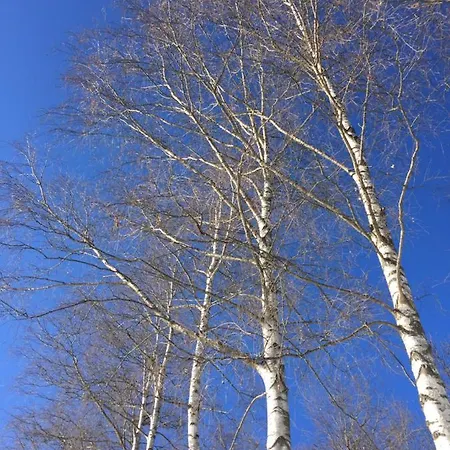 La Masca Bed & Breakfast