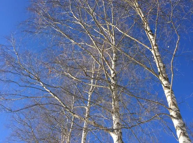 La Masca فندق مبيت وإفطار